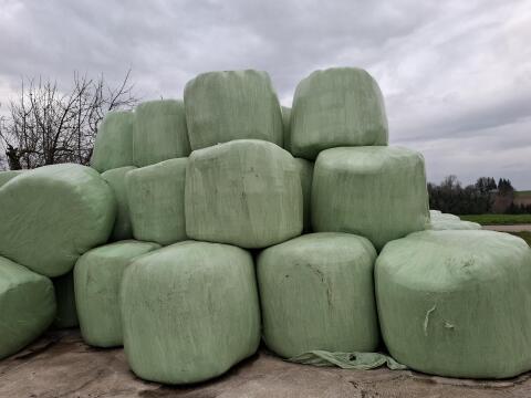Silageballen (3./4. Schnitt 2025)