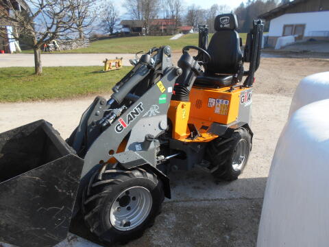 Giant D 254SW