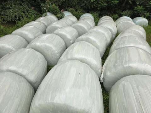 Verkaufe hochwertige Silorundballen