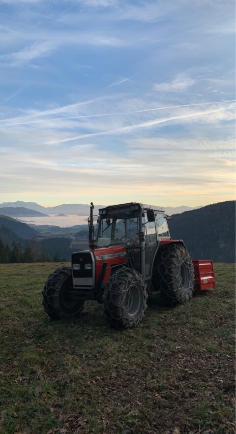Massey Ferguson 382 inkl. Frontlader