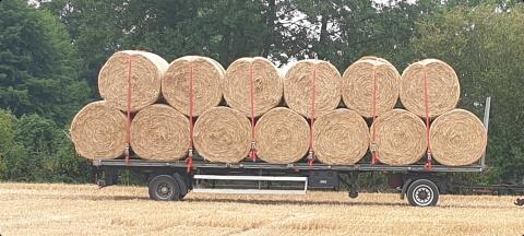 Stroh in Rundballen 1,6 m Dm.