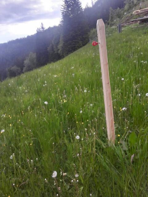 Weidezaunpfahl, Weidezaun, Lärche