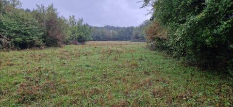 Verpachte Wiese