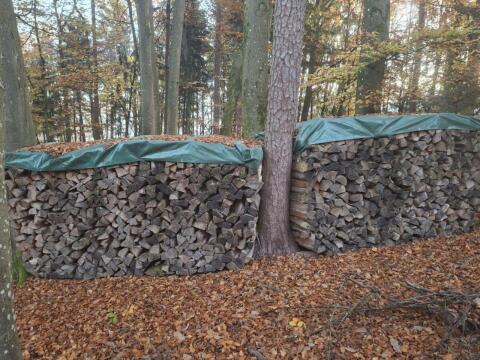 Brennholz