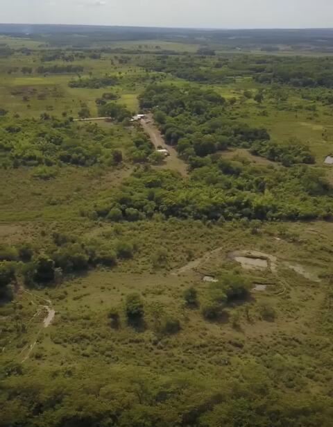 Ackerland-Traum in San Estanislao-Paraguay zu verkaufen!