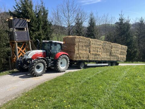 Verkaufe Stroh