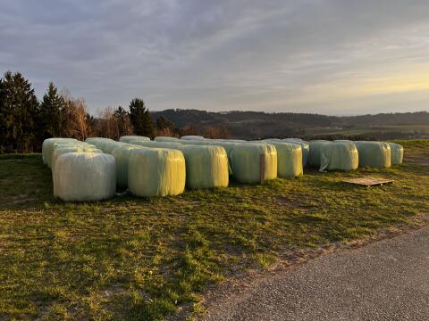 Siloballen 3. und 4. Schnitt 2025