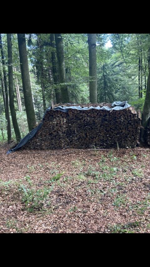 Brennholz