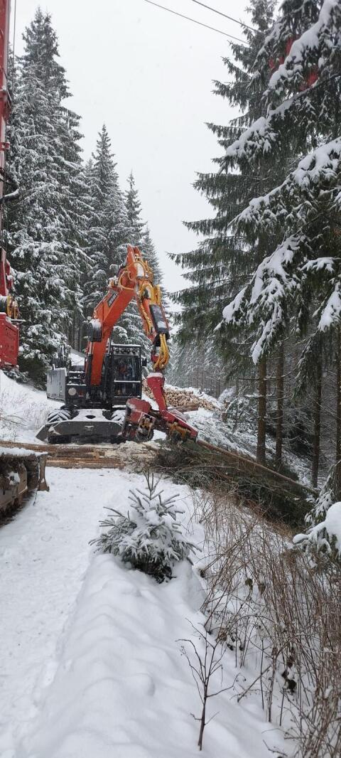 Develon 210 / Konrad Forstbagger / Woody 60-1
