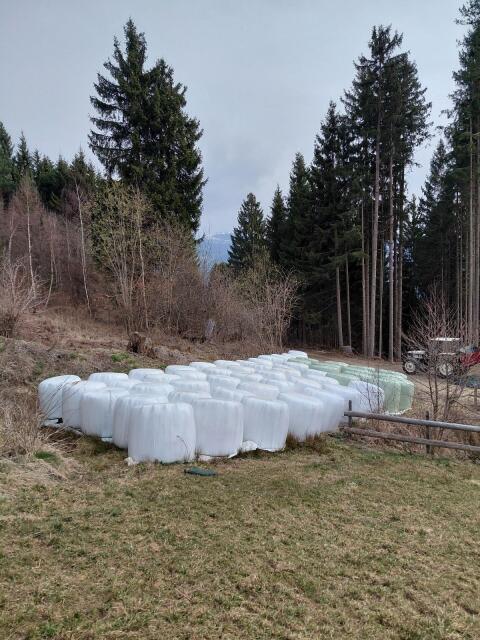 Siloballen 1. Schnitt 2025