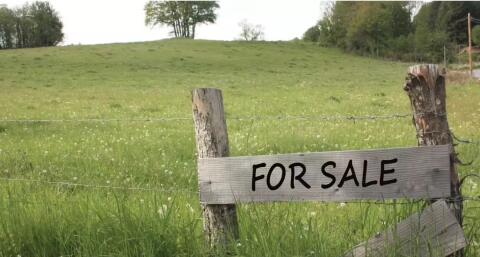 Bauland gesucht: Grundstück mit Widmung „Dorfgebiet“