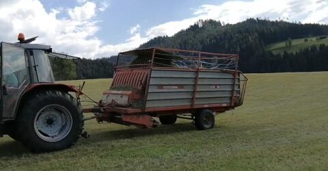 Gruber Ladewagen LTS 19