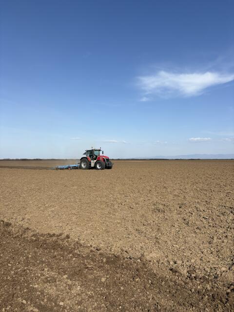 350 ha bestes Ackerland in Westrumänien