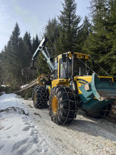 Biete Holzschlägerung, Bringung und Prozessoraufarbeitung an