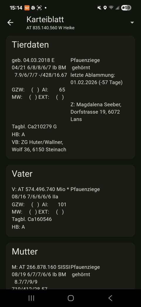 HB Pfauenziegen Bockmutter