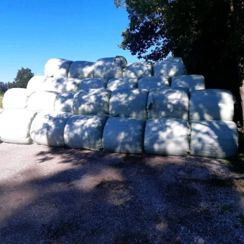 Silageballen