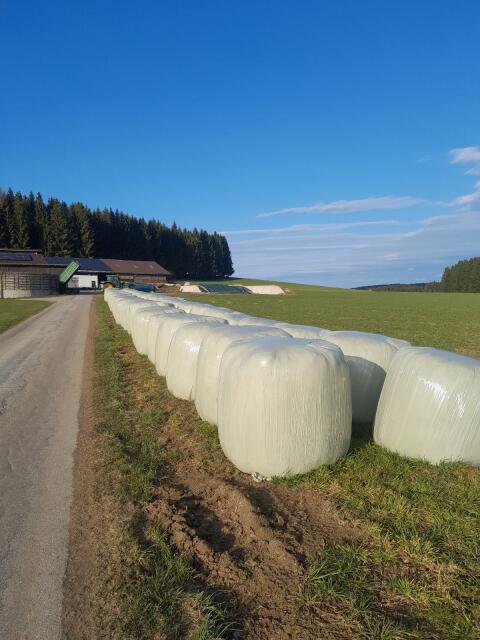 Grassilage Rundballen