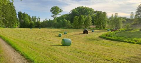 Gärheuballen, Siloballen