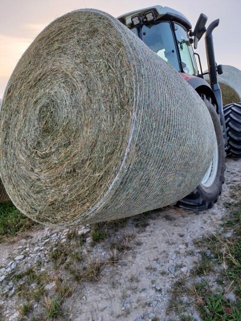 Pferdeheu 1. Schnitt