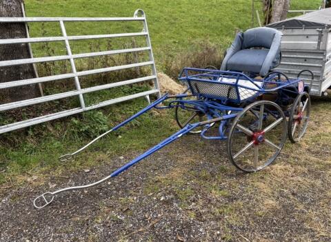 Marathonwagen, Kutsche