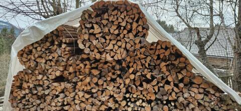 Brennholz