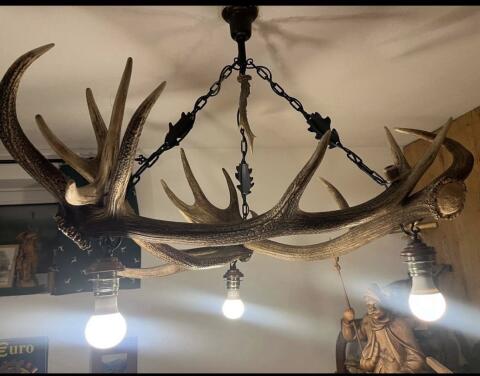 Hirschluster, Lampe