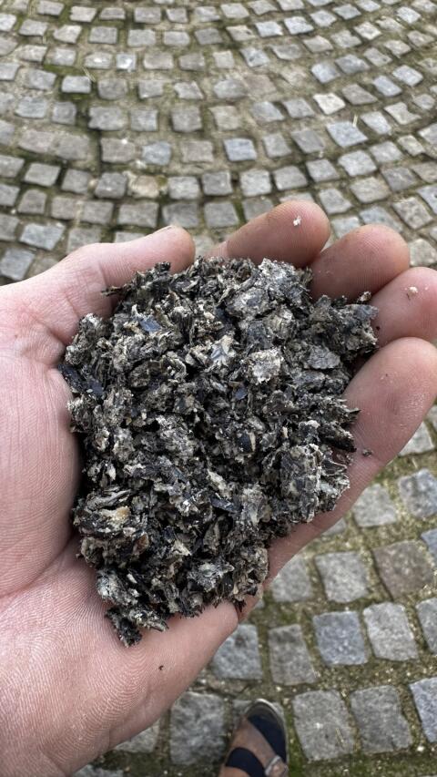 Bio Sonnenblumenpresskuchen