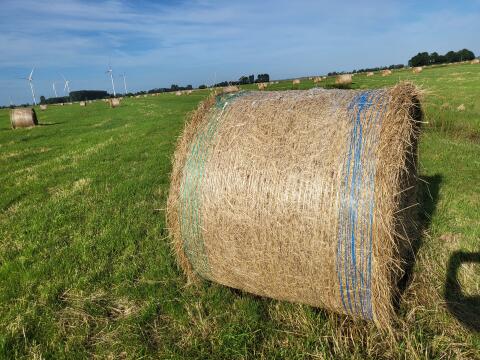 Heuballen, 1. Schnitt 2025