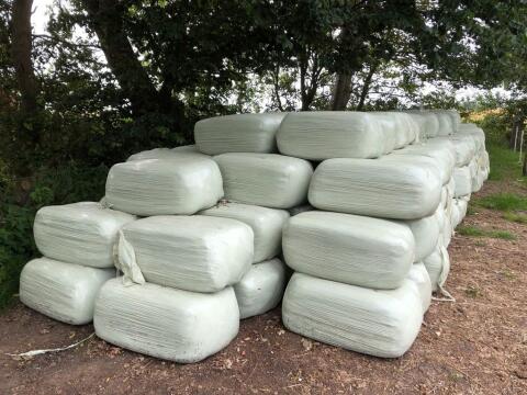 BIO Gärheu Heulage Silage Kleinballen