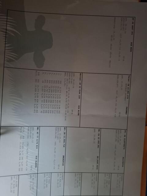 HF Sprungstier