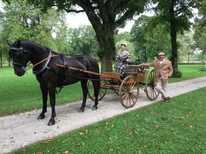 Historischer amerikanischer Buggy (Baujahr 1914)