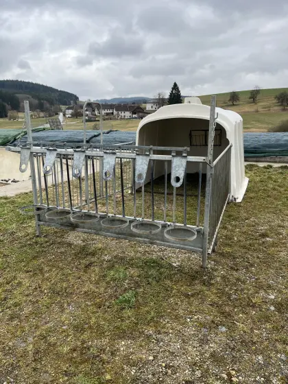 Kälberiglu für 6 Kälber