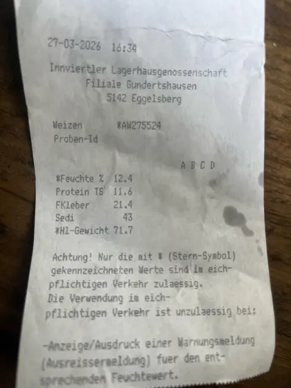 Futterweizen