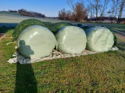 Siloballen