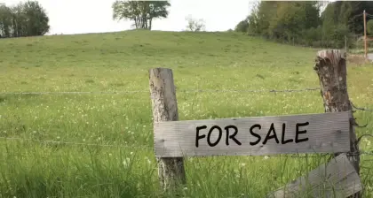 Bauland gesucht: Grundstück mit Widmung „Dorfgebiet“