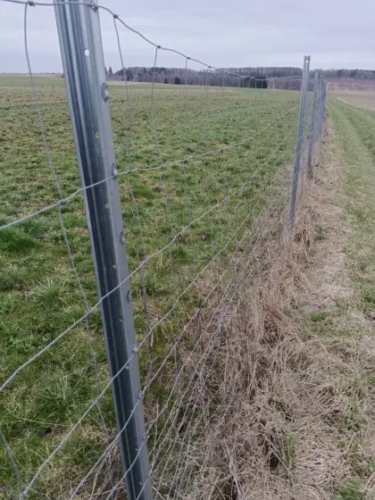 Forstzaun Weidezaun Zaun 1,60 m
