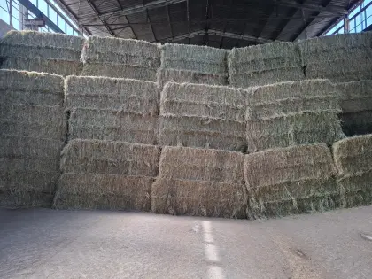 Heu fûr Pferde inkl. Transport