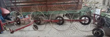 Bautspinne, alte Feldegge (Reissegge)