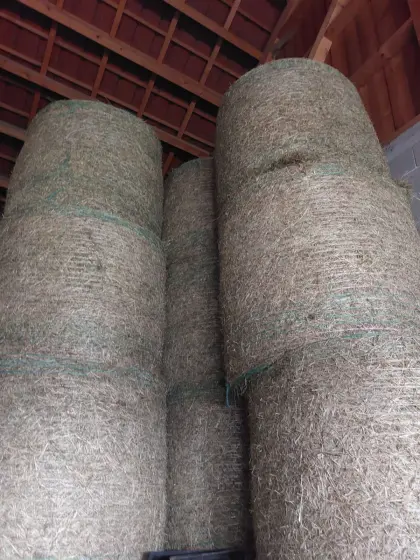 Heu Rundballen Dm. 130