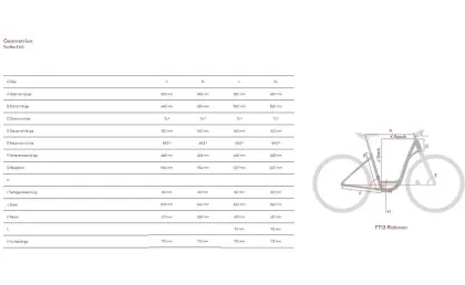 E-Bike Raymon Tourray E 6.0 NEU