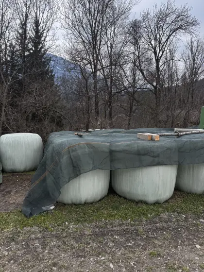 Gras-Siloballen zu verkaufen