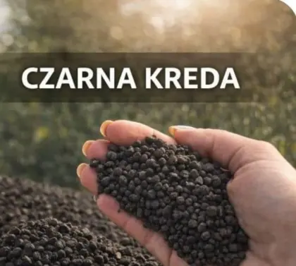 Schwarze Kreide mit Huminsäuren