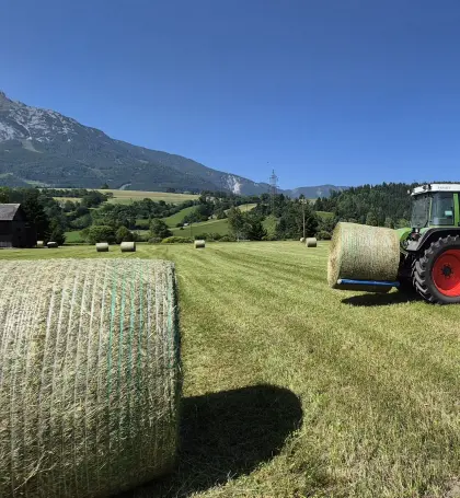Verkaufe Heuballen 400 kg, 1. Schnitt 2025
