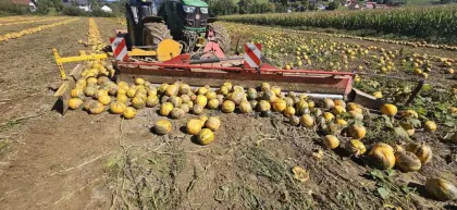 Kürbisschieber klappbar