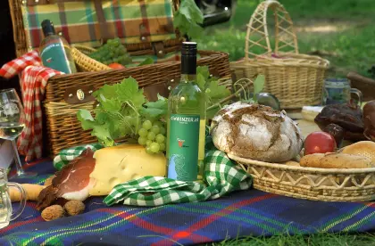 Traubensaft TOP Qualität