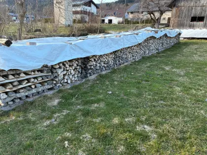 Brennholz Esche, Buche trocken