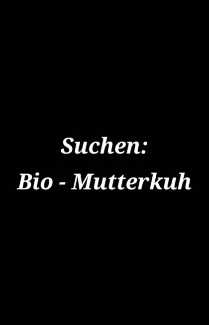 Bio Mutterkuh gesucht