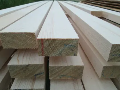 Latten, Zaunriegel, Bonanzazaun, Rangerzaunbretter