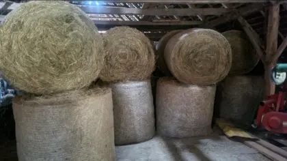 Heurundballen 1. Schnitt