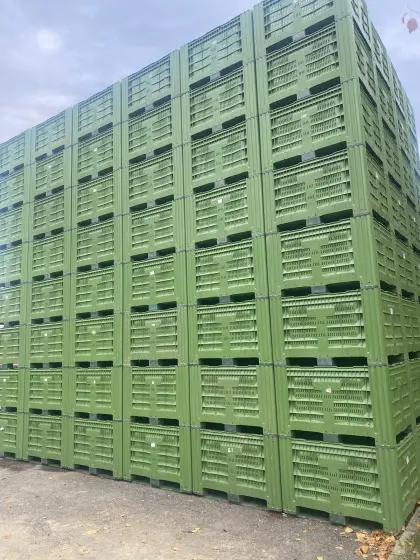 500 Stk. Obstkisten zu verleihen